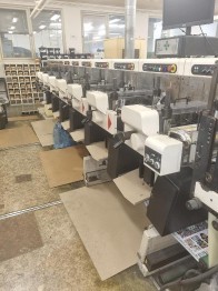 Flexographic printing machine